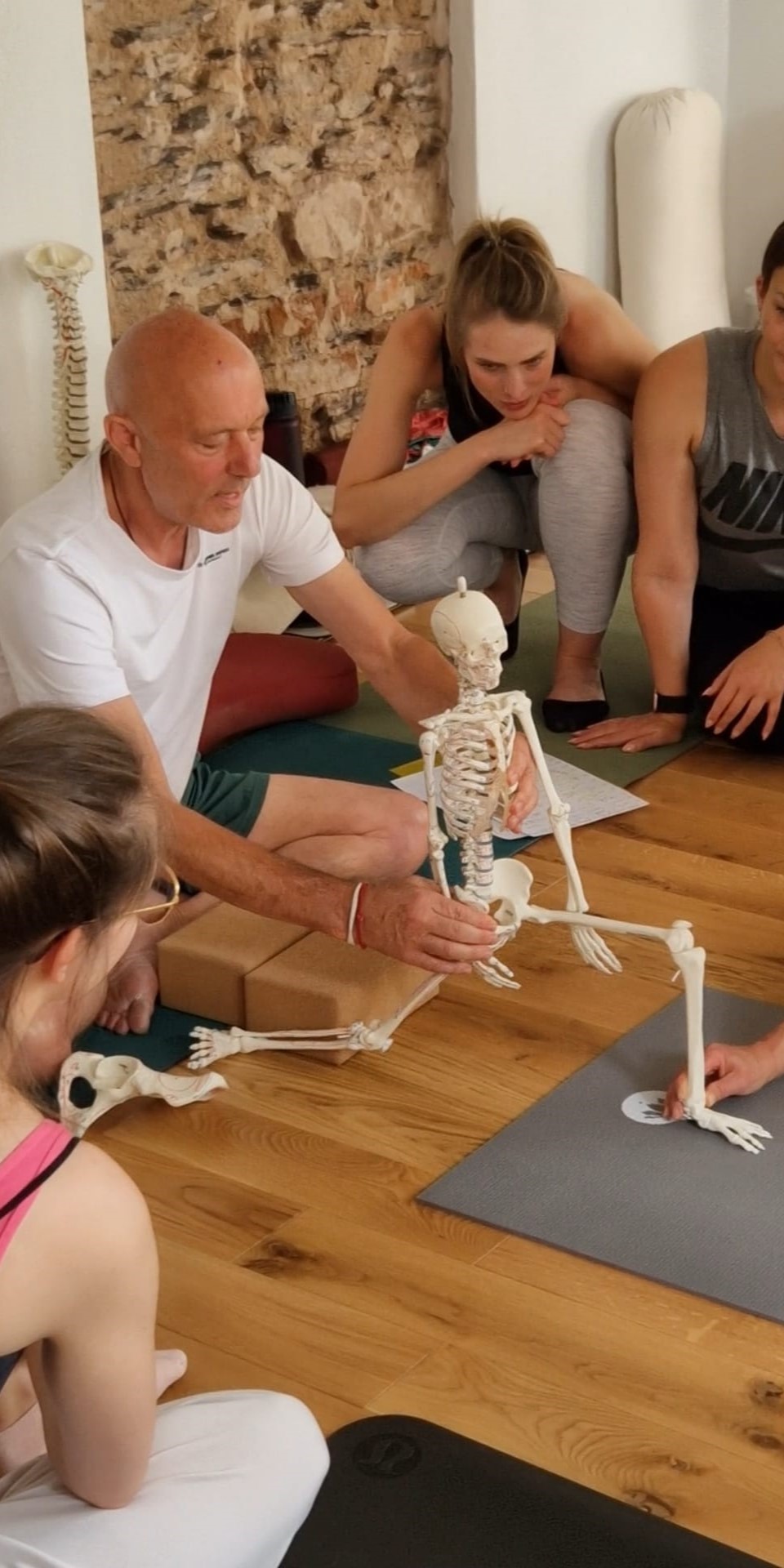 Yogatherapie Ausbildung Anatomie